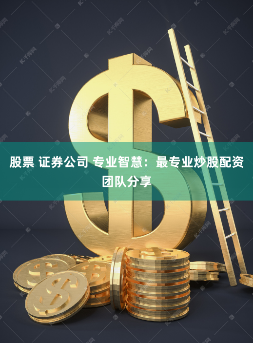 股票 证券公司 专业智慧：最专业炒股配资团队分享
