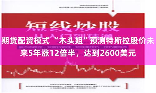期货配资模式 “木头姐”预测特斯拉股价未来5年涨12倍半，达到2600美元